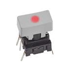 Apem 1R031 förstorad bild