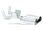 TE Connectivity - Connectors Econoseal .250 Automotive Connectors