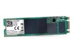 Swissbit M.2 PCIe N-10m2 Solid State Drives
