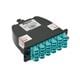 Panduit FC2XO-24-10B2