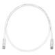Panduit UTPSP10MGYY