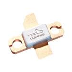 MACOM CG2H40045F förstorad bild